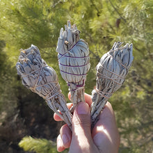 Load image into Gallery viewer, White sage ~ stick