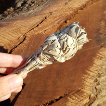 Load image into Gallery viewer, White sage ~ stick