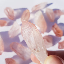 Load image into Gallery viewer, PINK LEMURIAN