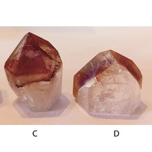 Load image into Gallery viewer, DREAMCOAT LEMURIAN M/L point