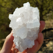 Load image into Gallery viewer, Apophyllite cluster