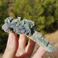 Cargar imagen en el visor de la galería, grape agate
