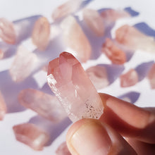 Load image into Gallery viewer, PINK LEMURIAN
