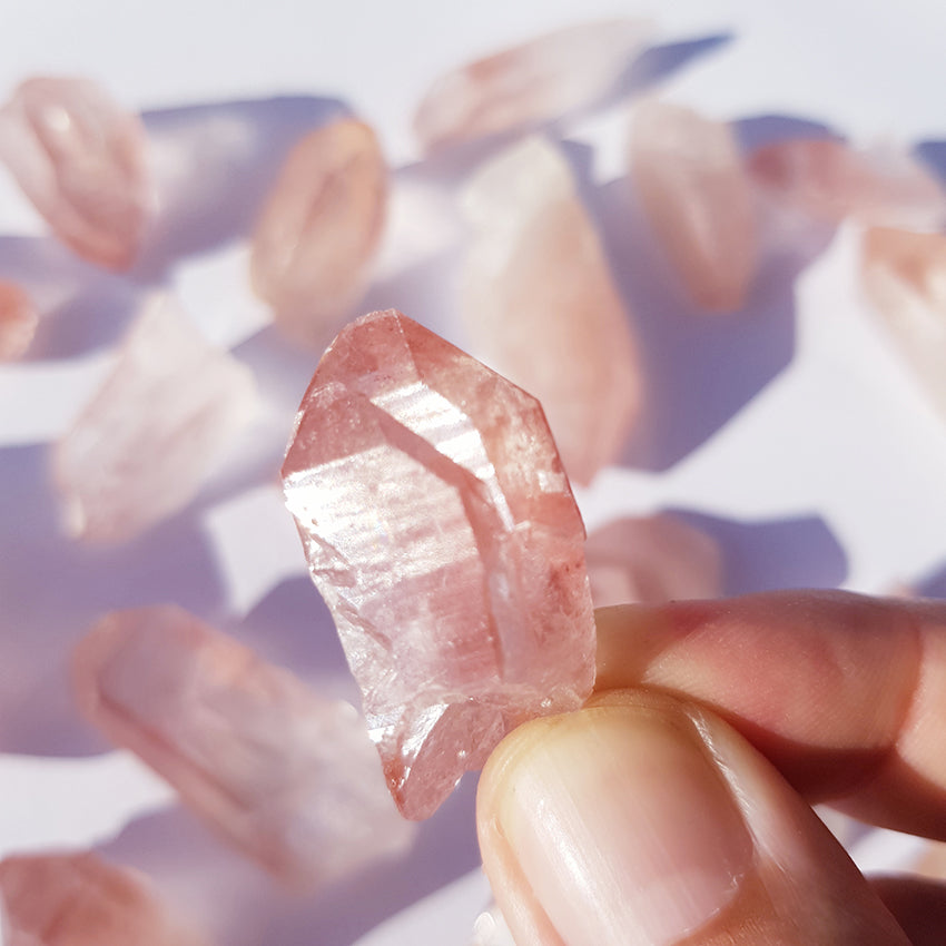 PINK LEMURIAN