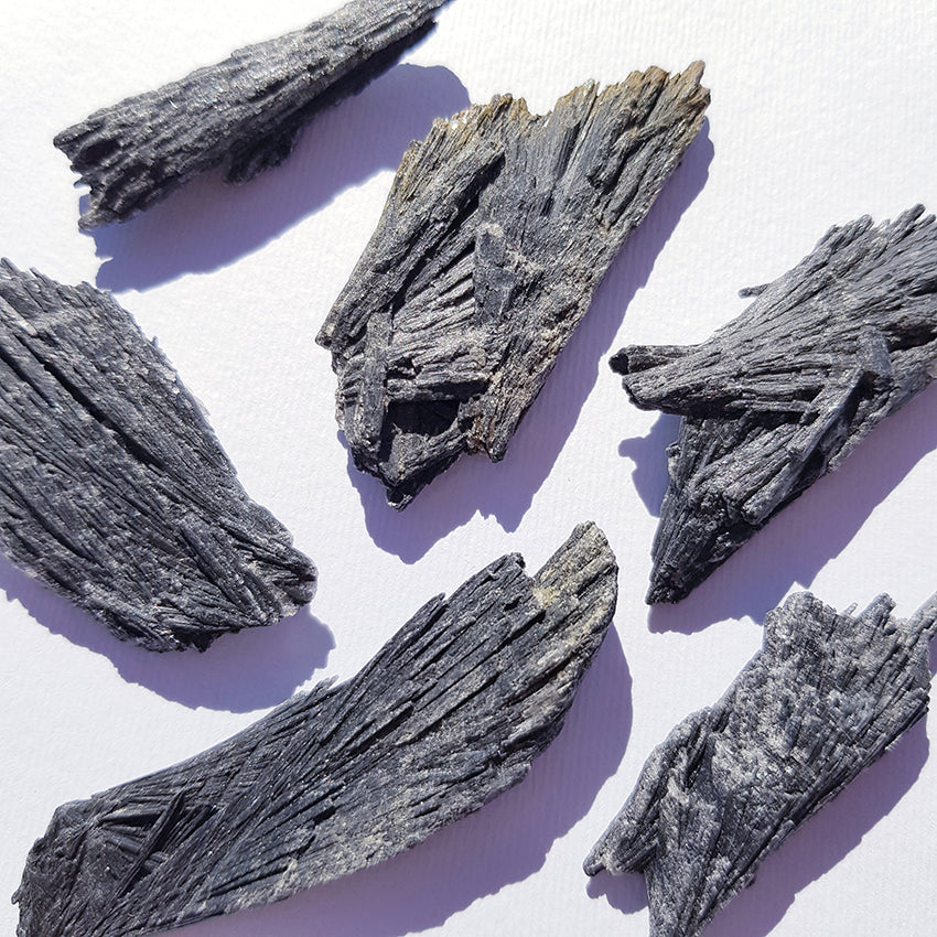 WITCHES BROOM (black kyanite)