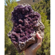 Cargar imagen en el visor de la galería, Alaçam amethyst ~ special find
