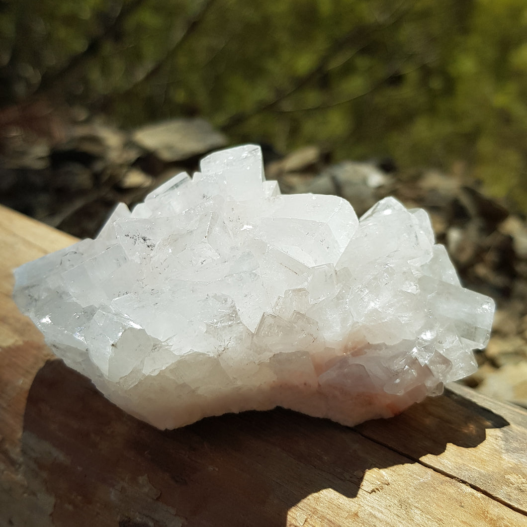 Apophyllite cluster